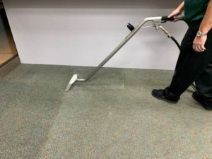 Caring for Commercial or Office Carpets