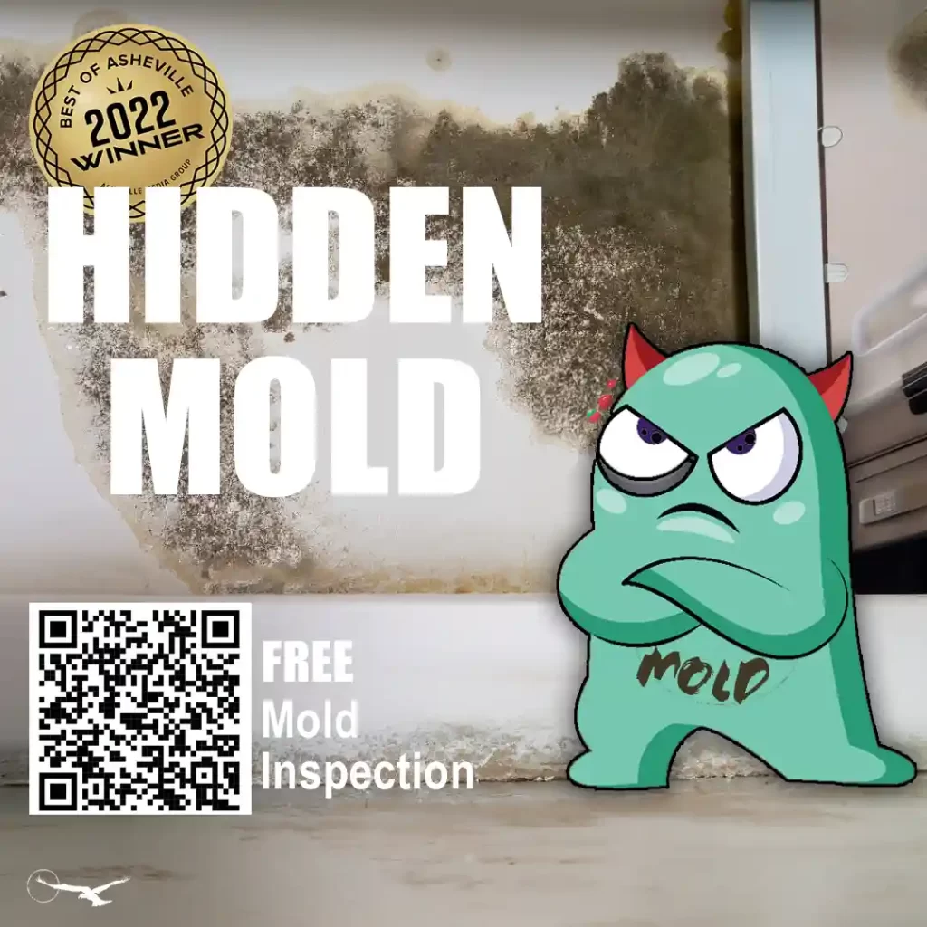 Top Five Health Issues Caused By Mold In The Home