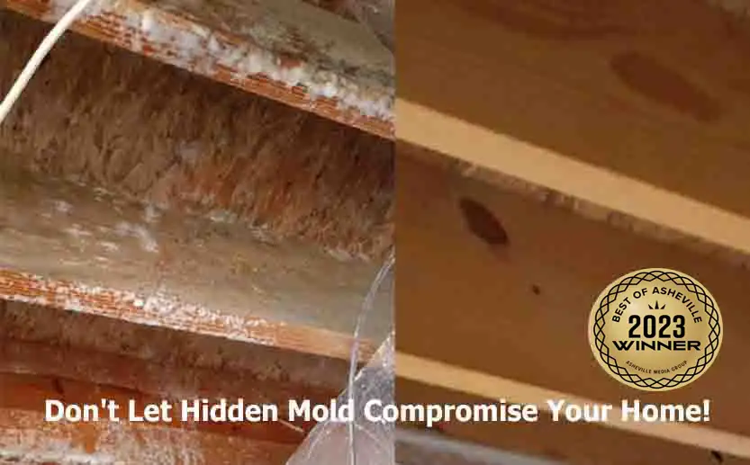 Mold in crawl space