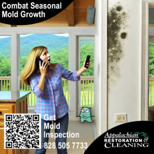 Combat Seasonal Mold Grow