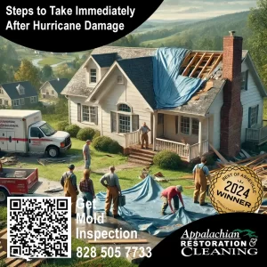 Steps to Take Immediately After Hurricane Damage