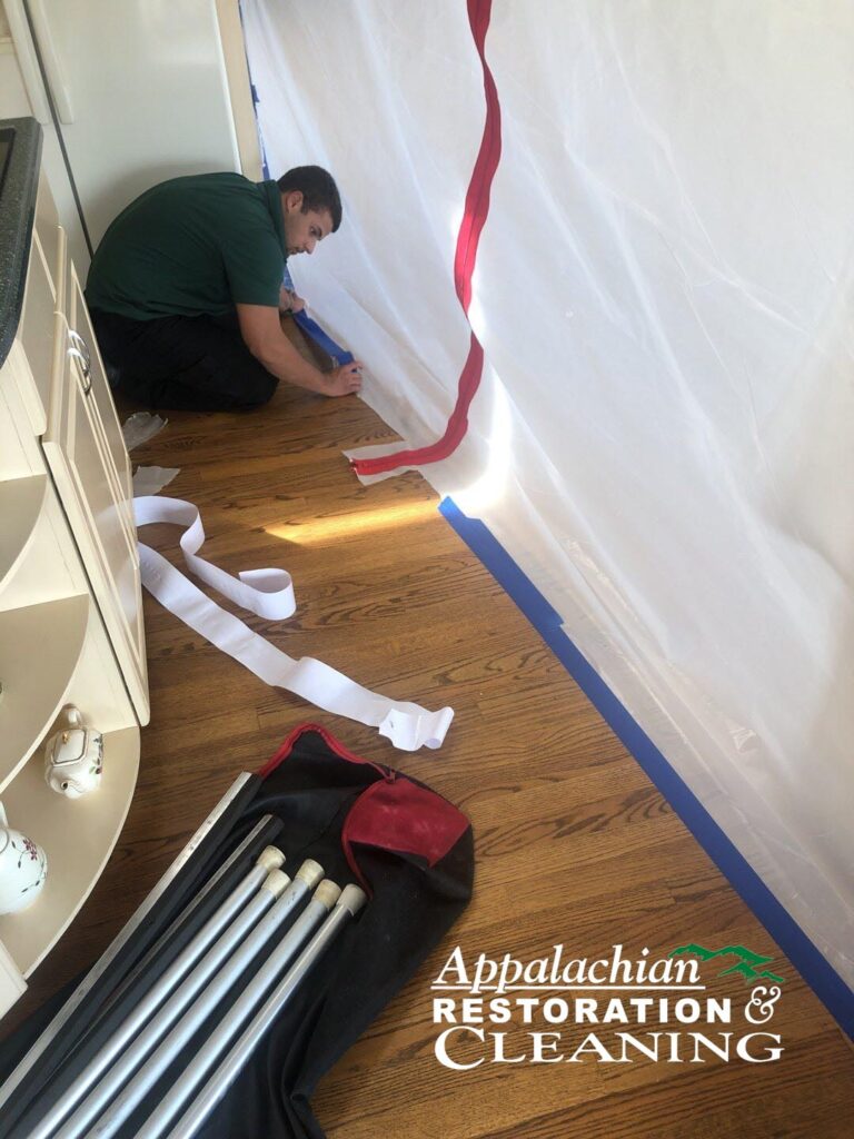 The Mold Remediation Process Explained Step-by-Step