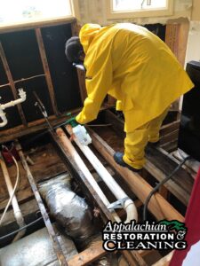 Why DIY Mold Removal Can Cost You More in the Long Run