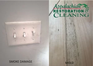 Mold vs Smoke Stains: Facility Manager’s Guide