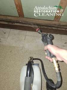 Eco-Friendly Mold Remediation in WNC