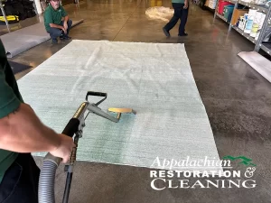 Top 5 Germ Hotspots in WNC Carpets & Upholstery