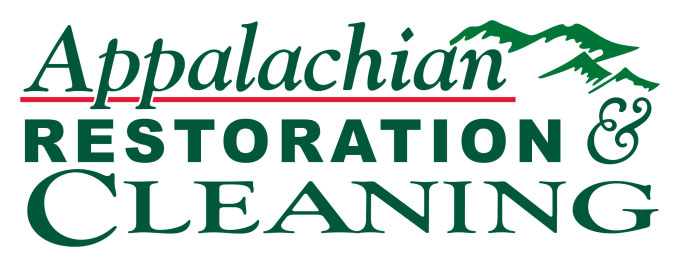 Eco-Friendly Commercial Cleaning Options