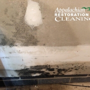 2-How-Mold-Affects