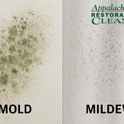 4-Mold-vs-Mildew