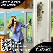 Combat-Seasonal-Mold-Growth