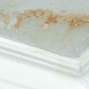 Why-you-want-professionals-to-remove-mold-in-your-home